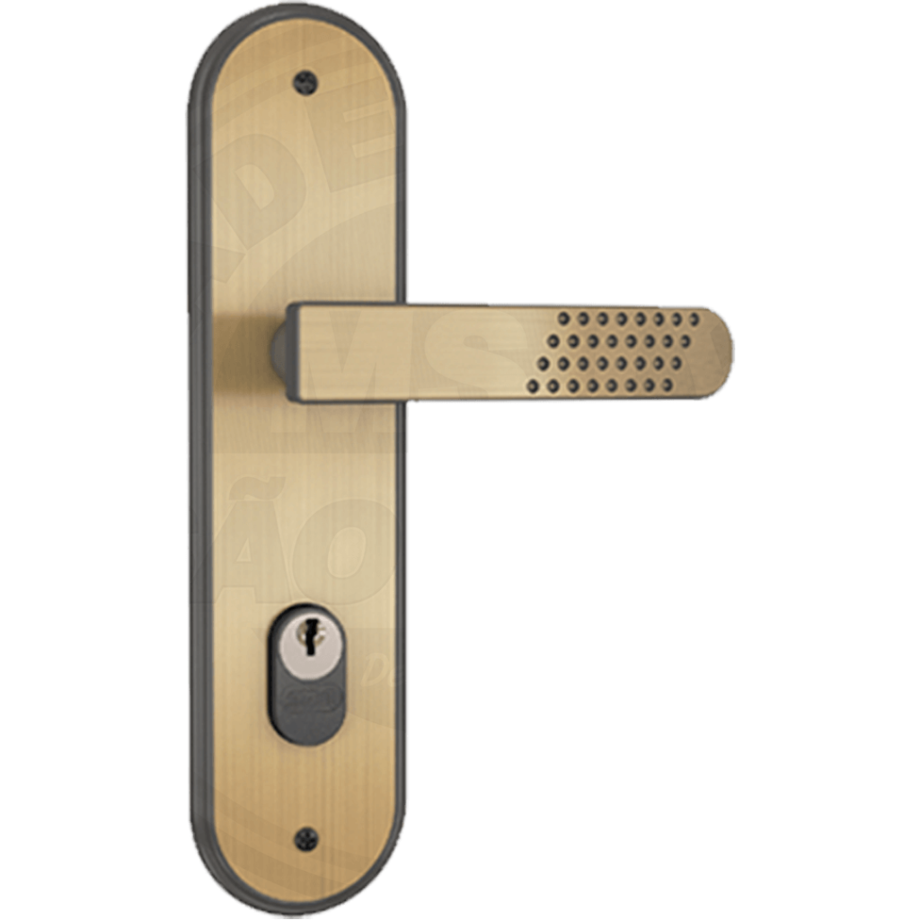 1801 21 Oxidado Stam